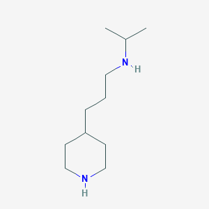 molecular formula C11H24N2 B13962940 N-isopropyl-3-(piperidin-4-yl)propan-1-amine 