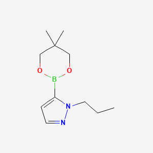 molecular formula C11H19BN2O2 B1396345 5-(5,5-二甲基-1,3,2-二氧杂硼环-2-基)-1-丙基-1H-吡唑 CAS No. 1487355-92-9