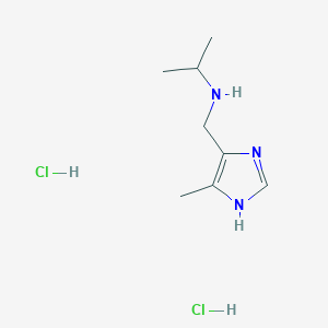 molecular formula C8H17Cl2N3 B1396431 N-[(4-甲基-1H-咪唑-5-基)甲基]丙烷-2-胺二盐酸盐 CAS No. 1332531-51-7