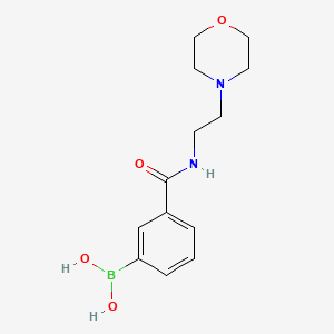 molecular formula C13H19BN2O4 B13964676 3-(2-Morpholinoethylcarbamoyl)phenyl boronic acid 