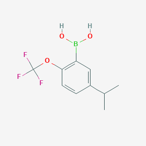 5-Isopropyl-2-(trifluoromethoxy)phenyl boronic acid