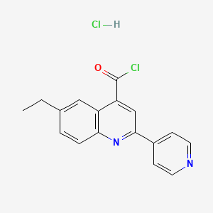 molecular formula C17H14Cl2N2O B1396759 6-Ethyl-2-(pyridin-4-yl)quinoline-4-carbonyl chloride hydrochloride CAS No. 1332530-22-9