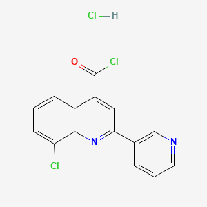molecular formula C15H9Cl3N2O B1396777 8-氯-2-(吡啶-3-基)喹啉-4-甲酰氯盐酸盐 CAS No. 1332530-16-1