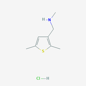 molecular formula C8H14ClNS B1396784 [(2,5-二甲基-3-噻吩基)甲基]甲胺盐酸盐 CAS No. 1332531-27-7