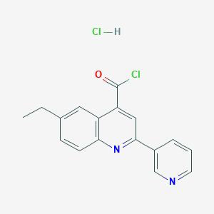 molecular formula C17H14Cl2N2O B1396789 6-乙基-2-(吡啶-3-基)喹啉-4-甲酰氯盐酸盐 CAS No. 1332531-35-7