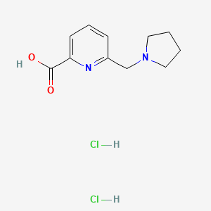 molecular formula C11H16Cl2N2O2 B1396792 6-(吡咯烷-1-基甲基)吡啶-2-羧酸二盐酸盐 CAS No. 1332530-74-1