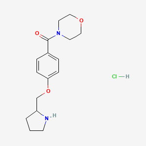 molecular formula C16H23ClN2O3 B1396800 4-[4-(吡咯烷-2-基甲氧基)苯甲酰]吗啉盐酸盐 CAS No. 1332529-62-0