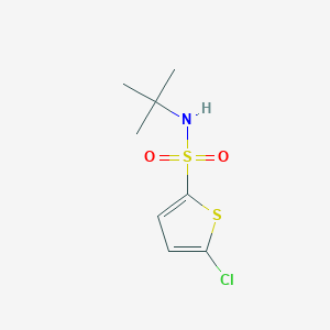 molecular formula C8H12ClNO2S2 B139688 5-氯噻吩-2-磺酸叔丁酰胺 CAS No. 155731-14-9
