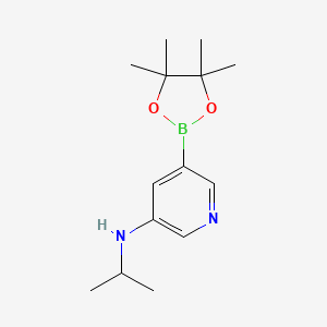 molecular formula C14H23BN2O2 B1396906 N-异丙基-5-(4,4,5,5-四甲基-1,3,2-二氧杂硼环-2-基)吡啶-3-胺 CAS No. 1201644-38-3