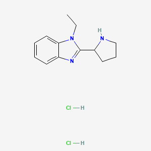 B1396947 1-Ethyl-2-pyrrolidin-2-yl-1H-benzimidazole dihydrochloride CAS No. 1332530-95-6
