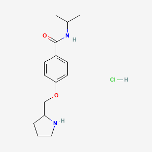 N-isopropyl-4-(pyrrolidin-2-ylmethoxy)benzamide hydrochloride