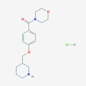 4-[4-(Piperidin-3-ylmethoxy)benzoyl]morpholinehydrochloride