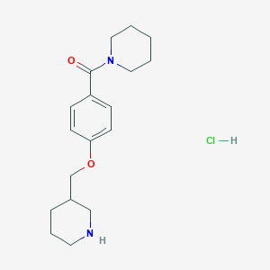 molecular formula C18H27ClN2O2 B1397000 1-[4-(哌啶-3-基甲氧基)苯甲酰]哌啶盐酸盐 CAS No. 1332531-15-3