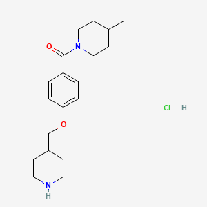 molecular formula C19H29ClN2O2 B1397006 4-甲基-1-[4-(哌啶-4-基甲氧基)苯甲酰]-哌啶盐酸盐 CAS No. 1332531-28-8