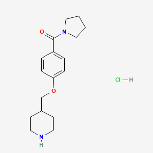 B1397008 4-{[4-(Pyrrolidin-1-ylcarbonyl)phenoxy]-methyl}piperidine hydrochloride CAS No. 1332530-81-0