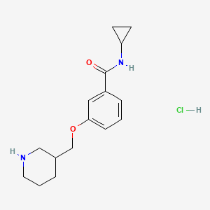 molecular formula C16H23ClN2O2 B1397009 N-环丙基-3-(哌啶-3-基甲氧基)苯甲酰胺盐酸盐 CAS No. 1332531-30-2