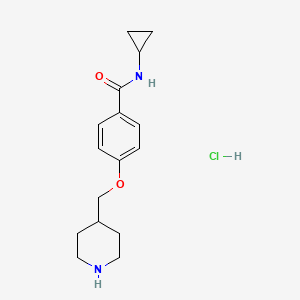molecular formula C16H23ClN2O2 B1397026 N-cyclopropyl-4-(piperidin-4-ylmethoxy)benzamide hydrochloride CAS No. 1332531-14-2