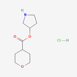 molecular formula C10H18ClNO3 B1397044 3-Pyrrolidinyl tetrahydro-2H-pyran-4-carboxylate hydrochloride CAS No. 1220031-91-3