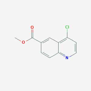 molecular formula C11H8ClNO2 B1397085 Methyl 4-chloroquinoline-6-carboxylate CAS No. 648449-01-8