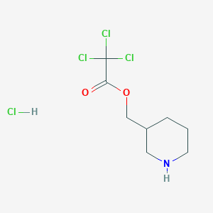 molecular formula C8H13Cl4NO2 B1397243 3-哌啶基甲基 2,2,2-三氯乙酸盐酸盐 CAS No. 1219979-51-7