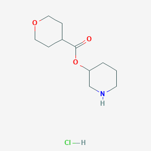 molecular formula C11H20ClNO3 B1397245 3-Piperidinyl tetrahydro-2H-pyran-4-carboxylate hydrochloride CAS No. 1220020-84-7