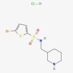 5-bromo-N-(piperidin-3-ylmethyl)thiophene-2-sulfonamide hydrochloride