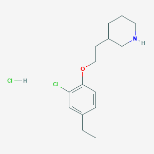 molecular formula C15H23Cl2NO B1397265 3-[2-(2-Chloro-4-ethylphenoxy)ethyl]piperidine hydrochloride CAS No. 1219964-03-0