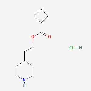 molecular formula C12H22ClNO2 B1397266 2-(4-Piperidinyl)ethyl cyclobutanecarboxylate hydrochloride CAS No. 1219960-63-0