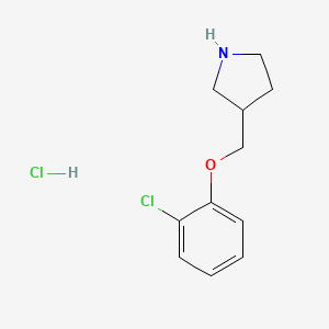 molecular formula C11H15Cl2NO B1397298 3-[(2-Chlorophenoxy)methyl]pyrrolidine hydrochloride CAS No. 1018446-69-9