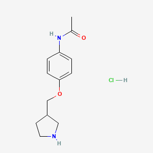 molecular formula C13H19ClN2O2 B1397301 N-[4-(3-Pyrrolidinylmethoxy)phenyl]acetamide hydrochloride CAS No. 1219961-15-5