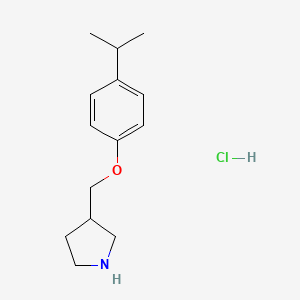 molecular formula C14H22ClNO B1397302 3-[(4-Isopropylphenoxy)methyl]pyrrolidine hydrochloride CAS No. 1220029-26-4