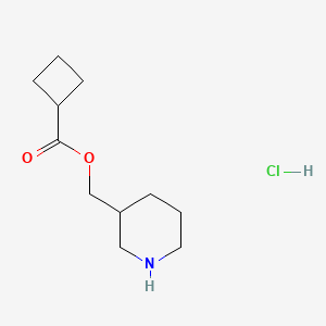 molecular formula C11H20ClNO2 B1397307 3-哌啶基甲基环丁烷甲酸盐酸盐 CAS No. 1219960-62-9