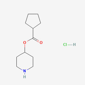 molecular formula C11H20ClNO2 B1397308 4-Piperidinyl cyclopentanecarboxylate hydrochloride CAS No. 1219948-62-5