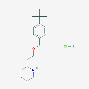 molecular formula C18H30ClNO B1397311 2-(2-{[4-(叔丁基)苄基]氧基}乙基)哌啶盐酸盐 CAS No. 1219980-97-8