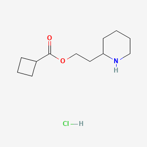 molecular formula C12H22ClNO2 B1397321 环丁烷甲酸2-(2-哌啶基)乙酯盐酸盐 CAS No. 1220038-28-7
