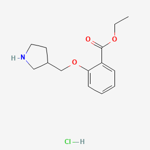 molecular formula C14H20ClNO3 B1397322 Ethyl 2-(3-pyrrolidinylmethoxy)benzoate hydrochloride CAS No. 1220029-69-5