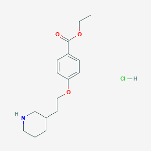 molecular formula C16H24ClNO3 B1397324 4-[2-(3-哌啶基)乙氧基]苯甲酸乙酯盐酸盐 CAS No. 1220029-84-4