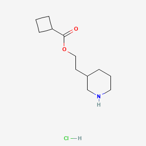 molecular formula C12H22ClNO2 B1397337 2-(3-Piperidinyl)ethyl cyclobutanecarboxylate hydrochloride CAS No. 1219972-52-7