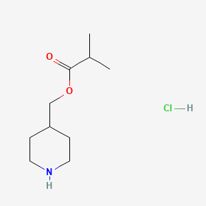 molecular formula C10H20ClNO2 B1397340 4-Piperidinylmethyl 2-methylpropanoate hydrochloride CAS No. 1220037-85-3