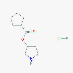 molecular formula C10H18ClNO2 B1397344 3-Pyrrolidinyl cyclopentanecarboxylate hydrochloride CAS No. 1219980-83-2