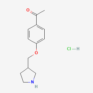 molecular formula C13H18ClNO2 B1397345 1-[4-(3-Pyrrolidinylmethoxy)phenyl]-1-ethanone hydrochloride CAS No. 1220029-91-3