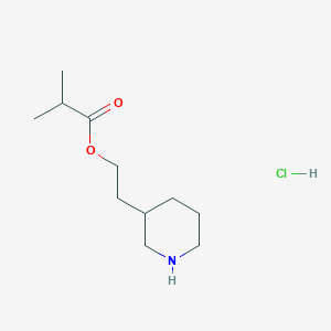 B1397355 2-(3-Piperidinyl)ethyl 2-methylpropanoate hydrochloride CAS No. 1220032-00-7