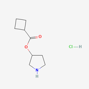 molecular formula C9H16ClNO2 B1397358 3-吡咯烷基环丁烷甲酸盐 CAS No. 1220032-01-8