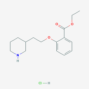molecular formula C16H24ClNO3 B1397359 2-[2-(3-哌啶基)乙氧基]苯甲酸乙酯盐酸盐 CAS No. 1220034-05-8