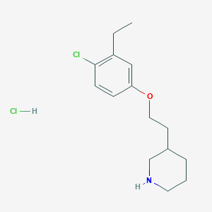 B1397361 3-[2-(4-Chloro-3-ethylphenoxy)ethyl]piperidine hydrochloride CAS No. 1220034-27-4