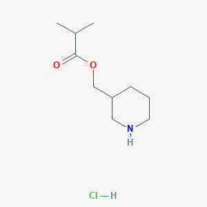 molecular formula C10H20ClNO2 B1397365 3-哌啶基甲基 2-甲基丙酸酯盐酸盐 CAS No. 1219979-85-7