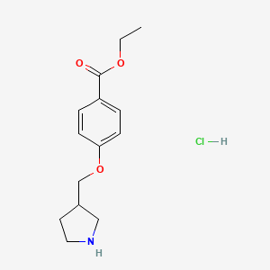 molecular formula C14H20ClNO3 B1397372 4-(3-吡咯烷基甲氧基)苯甲酸乙酯盐酸盐 CAS No. 1220027-68-8