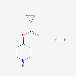 molecular formula C9H16ClNO2 B1397376 4-Piperidinyl cyclopropanecarboxylate hydrochloride CAS No. 1219968-03-2