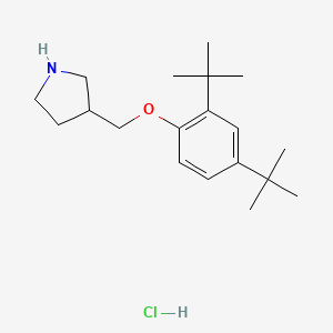 molecular formula C19H32ClNO B1397377 3-{[2,4-二(叔丁基)苯氧基]甲基}吡咯烷盐酸盐 CAS No. 1219979-14-2