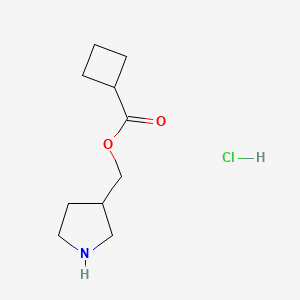 Pyrrolidin-3-ylmethyl cyclobutanecarboxylate hydrochloride